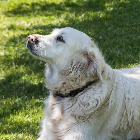 Cztery Katy - Przyjazne Zwierzetom, Bezplatne Rowery, Katy Rybackie * Katy Rybackie