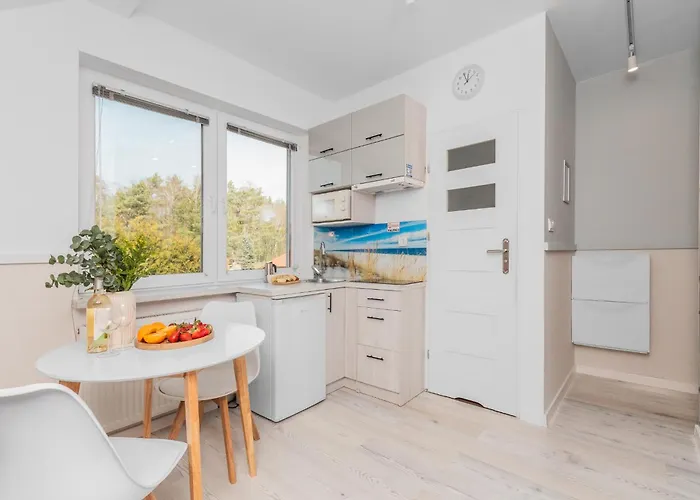 Cztery Katy - Przyjazne Zwierzetom, Bezplatne Rowery, Katy Rybackie Kąty Rybackie