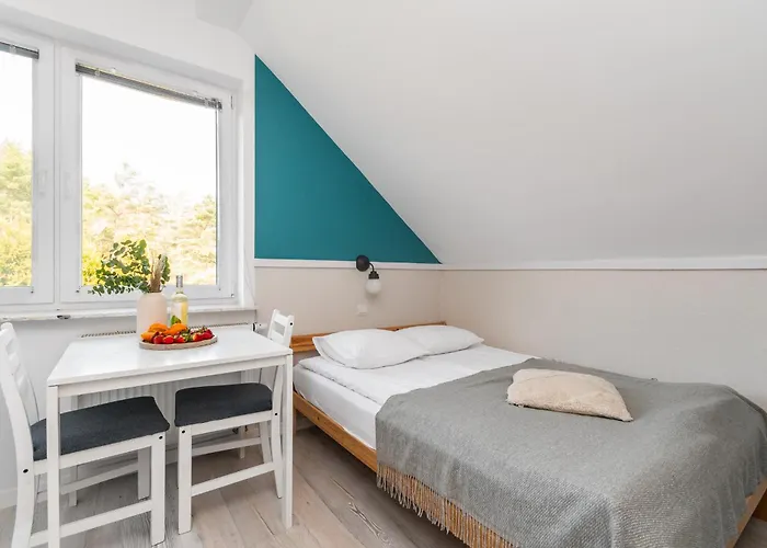 Cztery Katy - Przyjazne Zwierzetom, Bezplatne Rowery, Katy Rybackie Kąty Rybackie