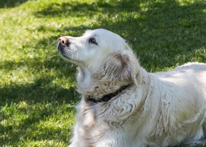 Cztery Katy - Przyjazne Zwierzetom, Bezplatne Rowery, Katy Rybackie * Kąty Rybackie